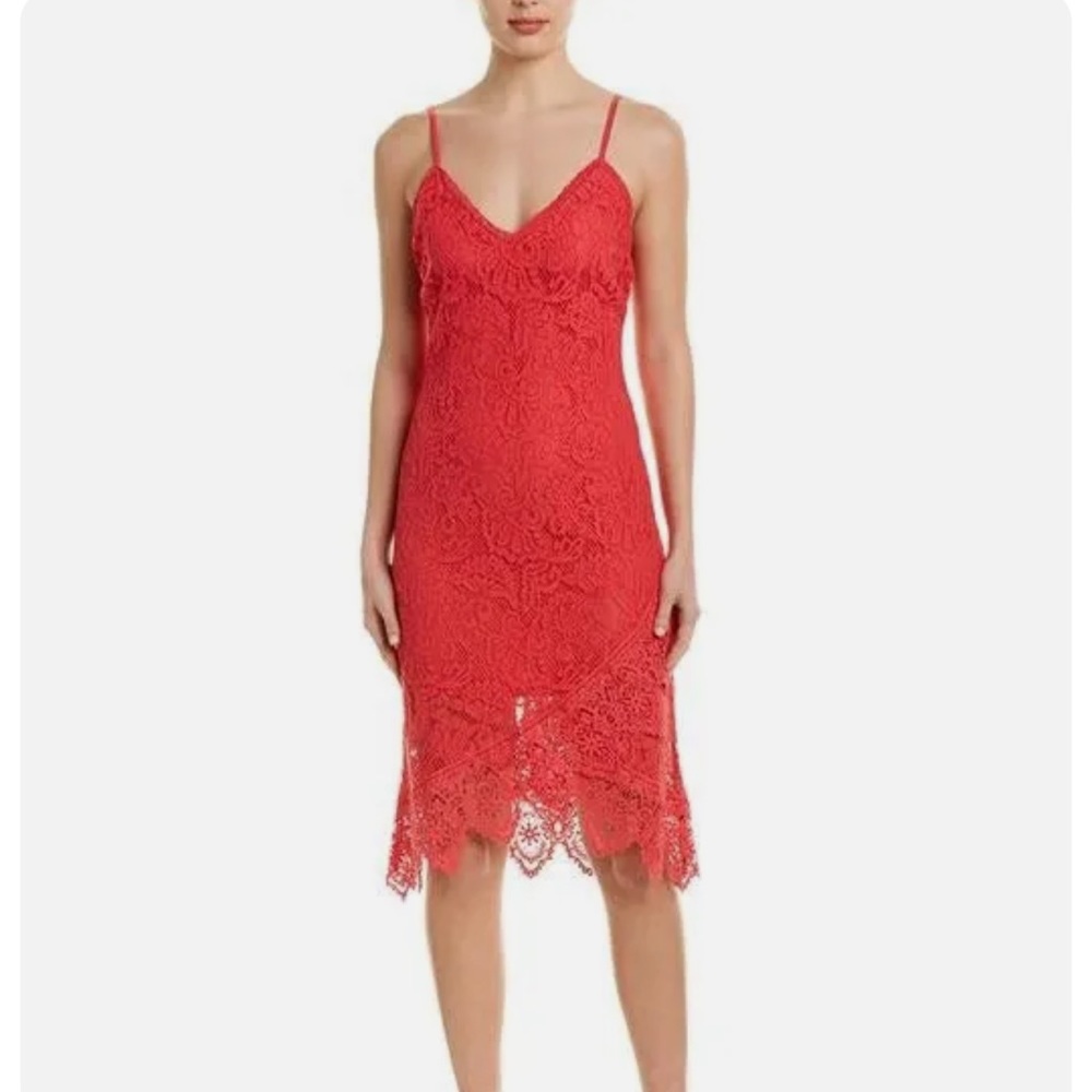 BB Dakota RSVP Rylee Lace Dress l